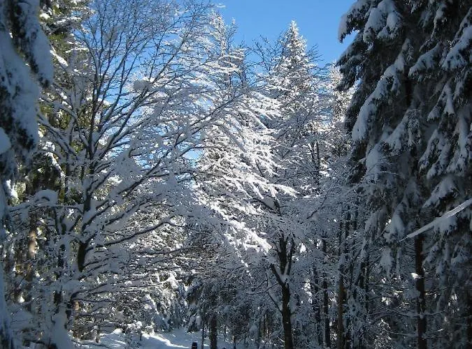 דירה Evi בישופסמאיס